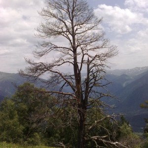img_27408_9344.jpg
