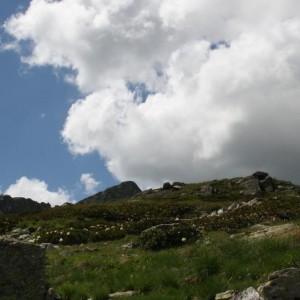 img_27465_9344.jpg