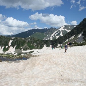 img_27469_9344.jpg
