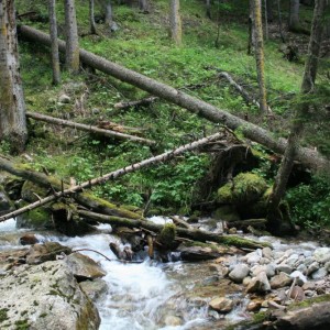 img_27478_9344.jpg