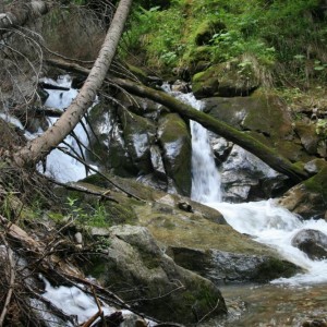 img_27479_9344.jpg