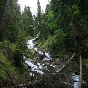 img_27480_9344.jpg