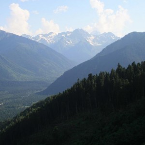 img_27494_9344.jpg