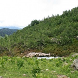 img_27518_9344.jpg