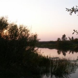 img_27979_18752.jpg