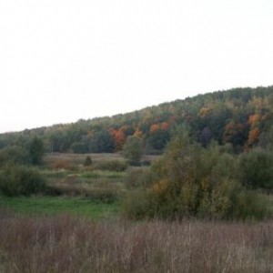 img_27980_18752.jpg
