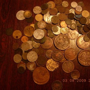 img_28306_7307.jpg
