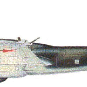 img_29164_5530.gif