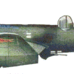 img_29191_5530.gif