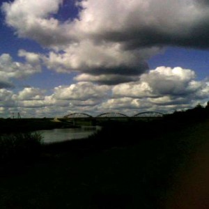 img_29536_13767.jpg