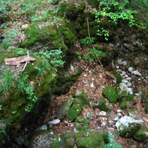 img_29609_15787.jpg