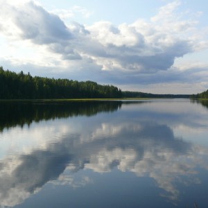 img_30550_211.jpg