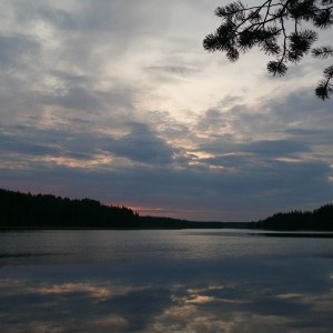 img_30564_211.jpg