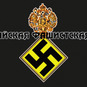 img_35381_17345.gif
