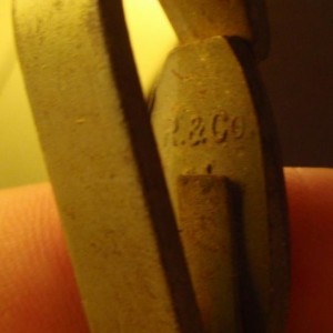 img_35545_9485.jpg