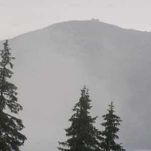 img_35982_11514.jpg