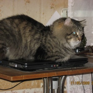 img_36315_5302.jpg
