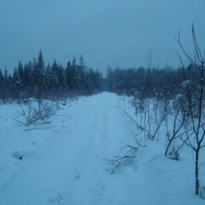 img_37787_10337.jpg