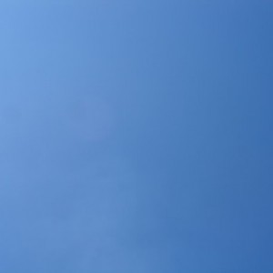 img_37791_10337.jpg
