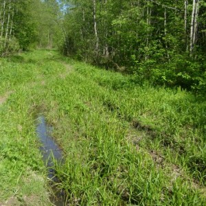 img_37793_10337.jpg