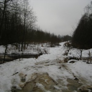 img_37797_10337.jpg