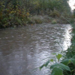 img_37798_10337.jpg