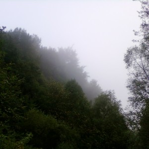 img_37850_20984.jpg
