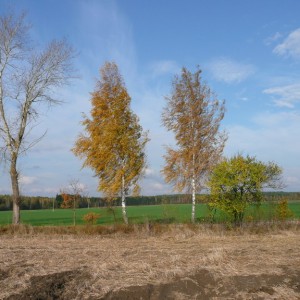 img_37937_10462.jpg