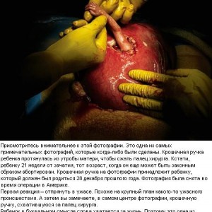 img_38008_12949.jpg