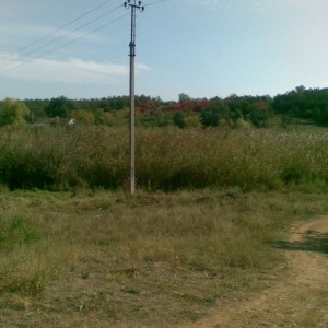img_38402_21129.jpg