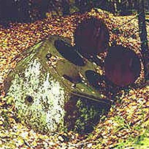 img_47910_22119.jpg