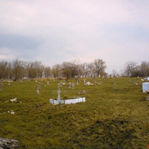 img_52656_7587.jpg