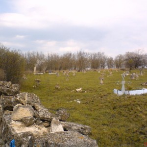 img_52657_7587.jpg