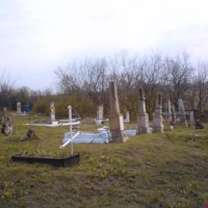 img_52658_7587.jpg