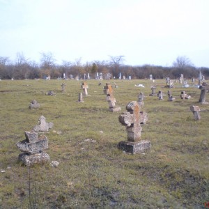 img_52664_7587.jpg