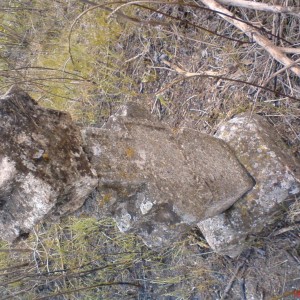 img_52668_7587.jpg