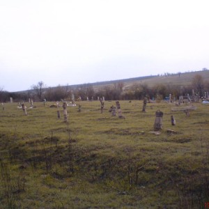 img_52670_7587.jpg