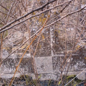 img_52671_7587.jpg