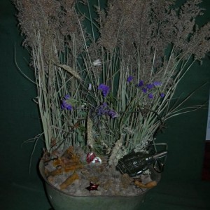 img_56639_8392.jpg