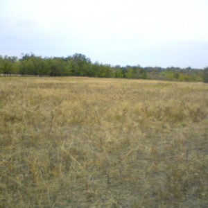 img_56746_23985.jpg