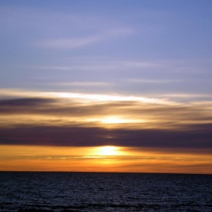 img_60263_8392.jpg