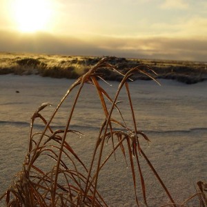 img_60267_8392.jpg