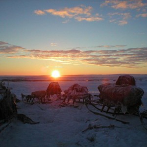 img_60340_8392.jpg