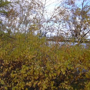 img_60449_8392.jpg