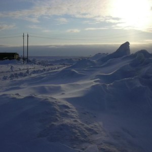 img_60451_8392.jpg