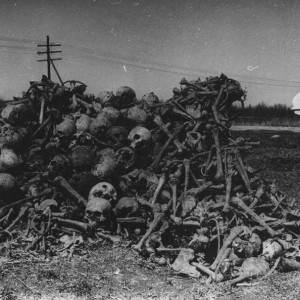 Фото Волховский фронт, Новгородская обл ,  80-е начало 90-х.
