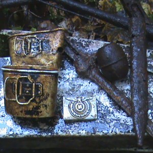 Новгородчина с 1941-1944 гг. Сезон 2009.
