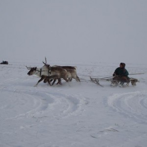 img_72159_8392.jpg