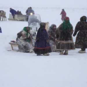 img_72207_8392.jpg