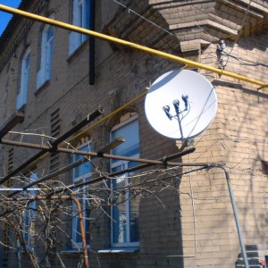 img_73095_7587.jpg